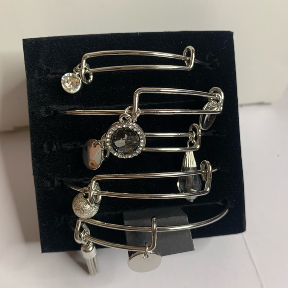 Christopher & Banks Silver Charm Bracelet Set - Picture 7 of 9